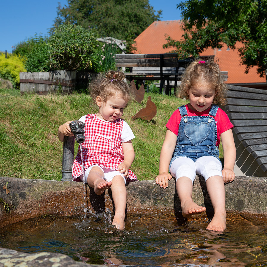 Ferienbauernhof Simonshof im Schwarzwald