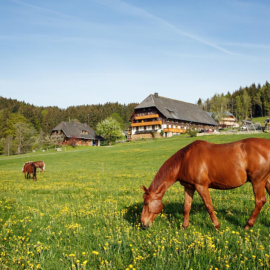 Weberhof am Titisee