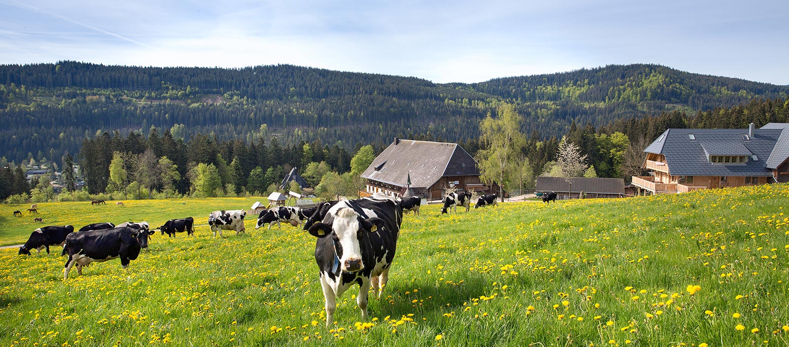 Weberhof am Titisee